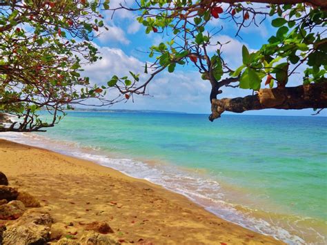 Flights are sorted by cheapest first. . Cheap flights to aguadilla puerto rico